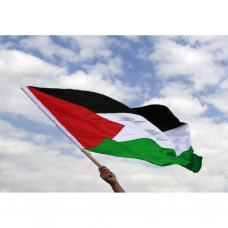 Palestine National Flag (60cm x 90cm), Medium double stitch polyester Palestine flag