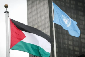 فلسطين تدعو المجتمع الدولي لعدم التهاون مع الجرائم الإسرائيلية وحماية حقوق الإنسان