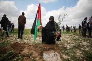 دعوات فلسطينية إلى أوسع مشاركة شعبية لإحياء يوم الأرض