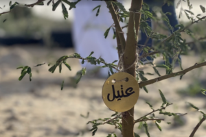 زراعة ألف شجرة في قطر بأسماء مدن وقرى فلسطينية مختلفة