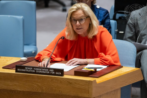 UN Official Calls for 'Political Will' to End Gaza Genocide, Alleviate Suffering