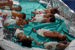 3 Babies Freeze to Death in Gaza amid Israel’s Genocidal War