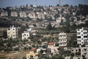 80 منظمة دولية تدعو إلى إنهاء التجارة مع مستوطنات الاحتلال الإسرائيلي في فلسطين