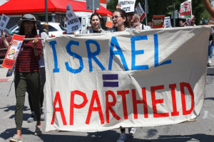 US Congresswoman: Congress Must Stop Funding Israeli Apartheid
