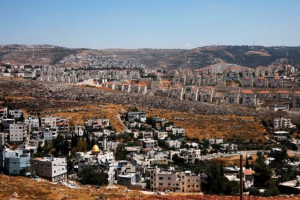 Israeli Occupation Seizes Palestinian Land in Qalqilya to Expand Illegal Settlement