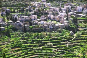 قرية بتير الفلسطينية المدرجة كتراث عالمي تواجه تهديدًا بالاستيطان الإسرائيلي