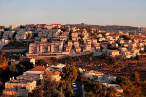 31 Members of US Congress Urge Biden to Block Illegal Israeli Settlement Construction