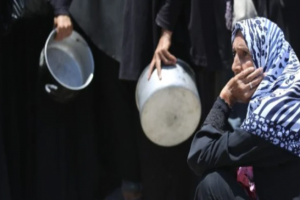 الأمم المتحدة: غزة بحاجة لدخول مئات الشاحنات يوميًا لتفادي المجاعة