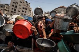 WFP: One Million in Gaza Receive Food Aid, But More Border Openings Urgently Needed