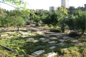 Israeli Occupation to Destroy 7 Palestinian Graves in West Bank Village
