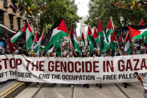 Maldives Seeks to Join South African Genocide Case against Israel