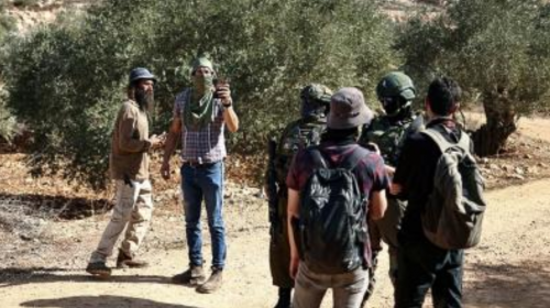 تصاعد اعتداءات المستوطنين في الضفة وإسرائيل تقر بناء 1300 وحدة استيطانية جديدة