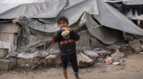 مؤشرات خطِرة لانعدام الأمن الغذائي في غزة