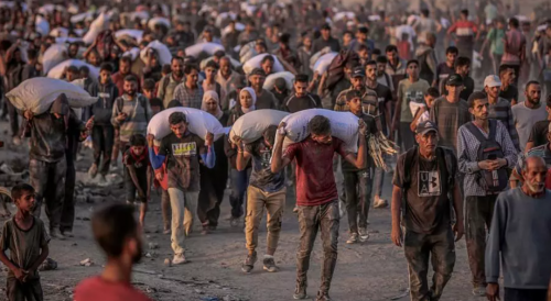 الأمم المتحدة: مقتل 1500 فلسطيني في غزة أثناء بحثهم عن الغذاء منذ مايو