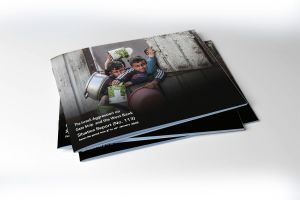 Situation Report (No.113) on Israeli Aggression on Gaza and West Bank - from January 8 to 14, 2026