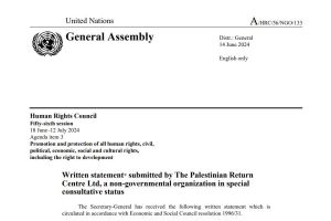Report: Perpetuating the Nakba: Ongoing Forced Displacement in Gaza (July 2024)