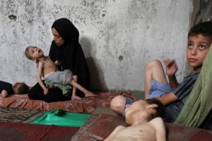 Child among 8 More Palestinians Killed by Israel’s Starvation Policy in Gaza