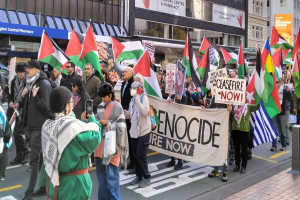 New Zealand Seeks Immediate Return to Ceasefire amid Renewed Israeli War on Gaza