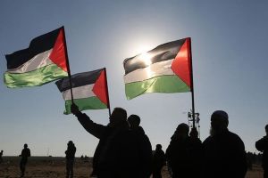 هيئة فلسطينية: مسيرات العودة مستمرة بطابعها السلمي