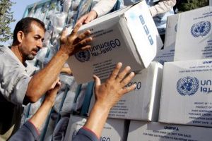 الأونروا: نحتاج 30 مليونًا لاستكمال برنامج المساعدات بغزة