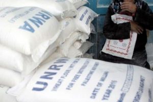 Netherlands Resumes Funding to Palestine Refugee Agency