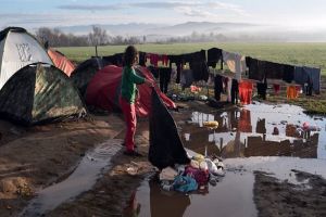 Palestinian Families Stranded on Greek Island Launch Cry for Help