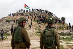Palestine Hails UN Experts over Opposition to Israeli Annexation Plan
