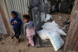 China Provides Relief Supplies to Palestine Refugee Agency