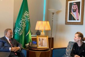 مندوب السعودية بالأمم المتحدة: ملتزمون بدعم 