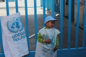 لجنة شعبية فلسطينية تدعو الأونروا لزيادة المخصصات الغذائية للاجئين