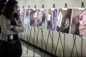 إطلاق حملة للتذكير بقضية الفلسطينيين المغيبين في سوريا