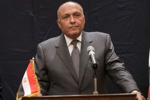 Egypt’s FM Calls for Increasing Efforts to Relieve Palestinian Refugees’ Suffering