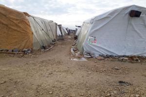 Palestinian Refugee Families Struggling for Survival in Syria’s AlBal Camp