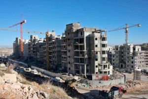 لجنة أممية تدعو للتصدي لخطر ضم إسرائيل أراض فلسطينية
