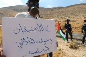باحثة إسرائيلية: سياسة الضم ستزيد سرقة أراضي الفلسطينيين