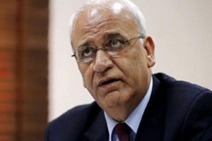 Israeli Annexation Plan Is Sign of Apartheid Policy, Warns Chief Palestinian Negotiator