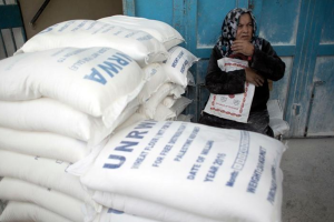 الصين تدعم المعونة الغذائية للاجئين في غزة بمليون دولار
