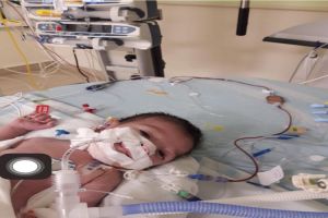 Palestinian Infant Reported as 1st Victim of Israel’s Annexation Plan