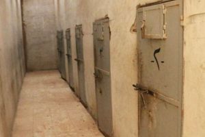 Due to Surge in Coronavirus Cases, Rights Group Calls for Immediate Release of Palestinian Prisoners from Syrian Jails