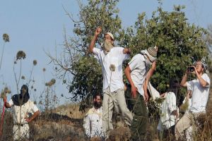 Under Army Shield, Israeli Settlers Work on Palestinian Land in West Bank