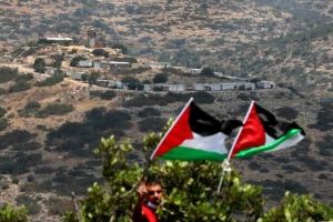 فلسطيني يسترد 50 دونما استولى عليها مستوطنون