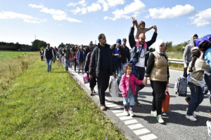 As Palestinian Asylum-Seekers Search for Ray of Hope, Petition demands Danish lawmakers Stop Syrian Repatriation Policy