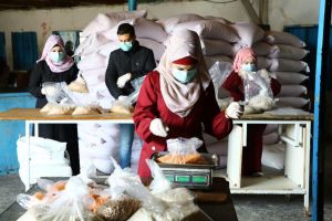 الحكومة التركية تدعم اللاجئين الفلسطينيين بـ 10 ملايين دولار