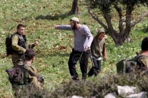 قلق لدى مزارعي الزيتون الفلسطينيين من تصاعد اعتداءات المستوطنين