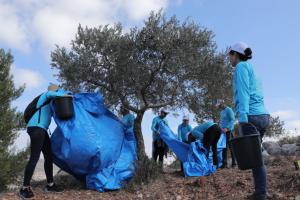 UNRWA Supports Palestine Refugee Farmers During Olive Harvest Season