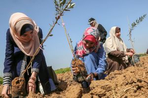 فلسطينيون يعيشون في كهوف تمسكًا بأراضيهم