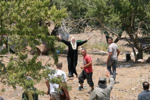 Israeli Settlers Attack Palestinian Olive-Picking Farmers in West Bank