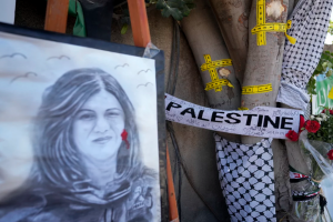 US Congressman Introduces “Justice for Shireen Act” Requiring Investigation into Her Death