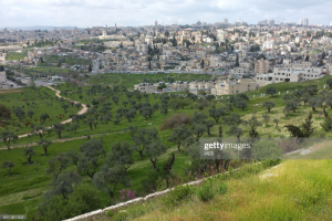 Jerusalem’s Wadi al-Joz Neighborhood Grappling with Israeli State-Backed Ethnic Cleansing