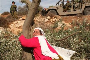 في ذكرى يوم الأرض.. مركز العودة يطالب بوقف مسلسل تهجير الفلسطينيين وإنصاف ضحايا مسيرات العودة